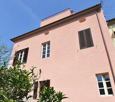 Alloro 6